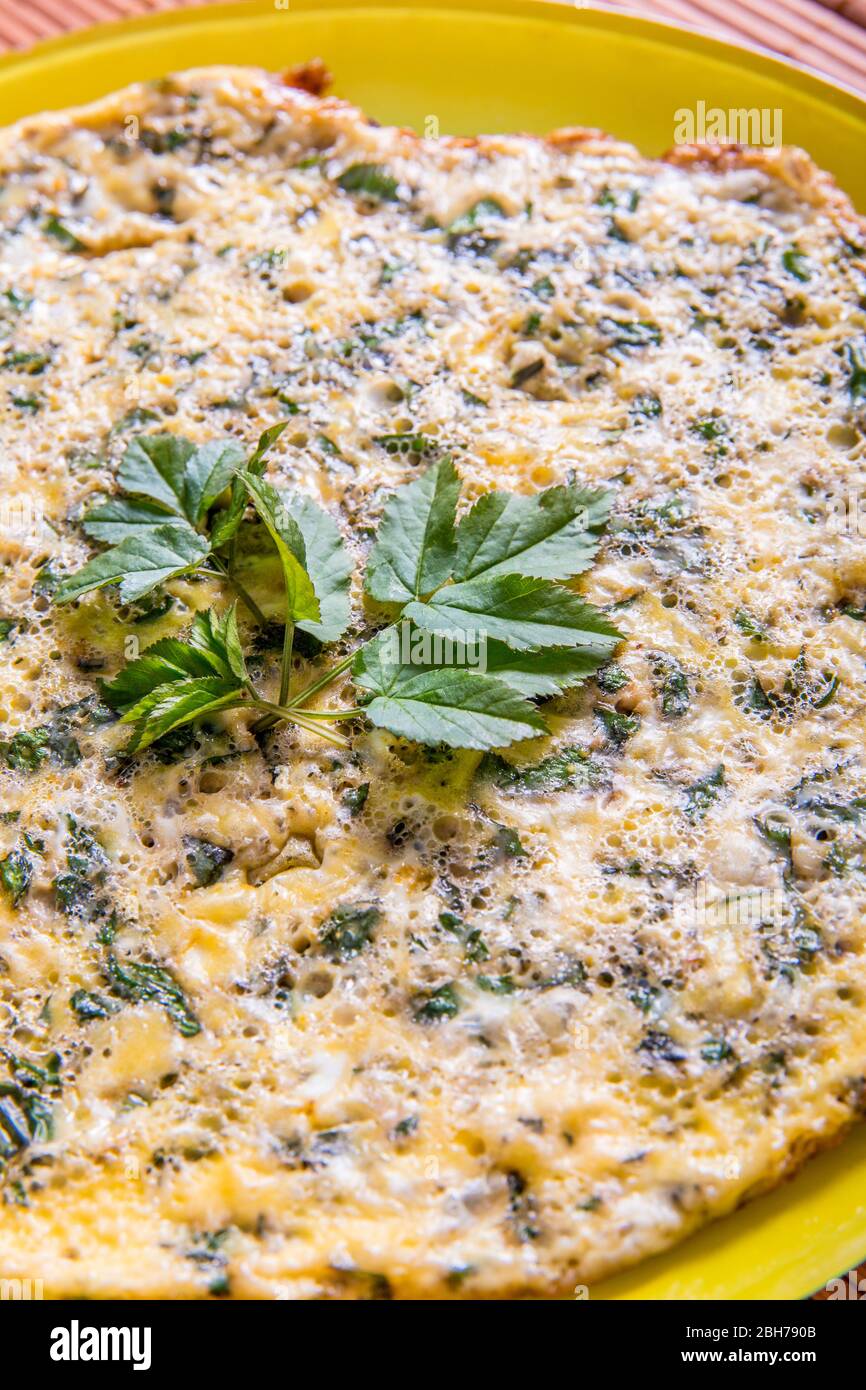 Omelette with pieces of goutweed leaves in spring. Aegopodium podagraria commonly called ground elder, herb gerard, bishop's weed, gout wort. Stock Photo