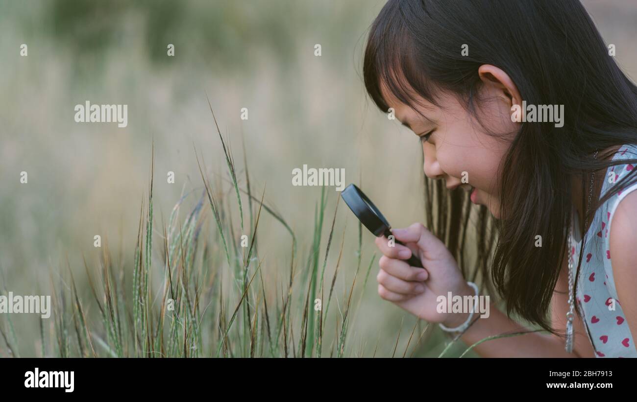 Happy asian child girl exploring nature with magnifying glass.16:9 style Stock Photo