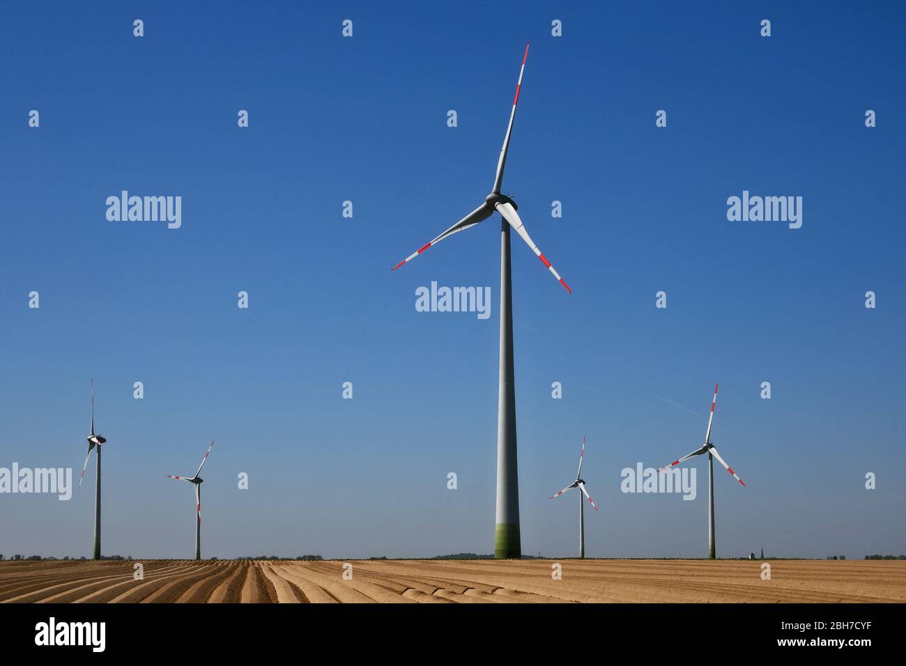 Wind turbines behind an asparagus field in Grevenbroich, Northrhine-Westfalia, Germany Stock Photo