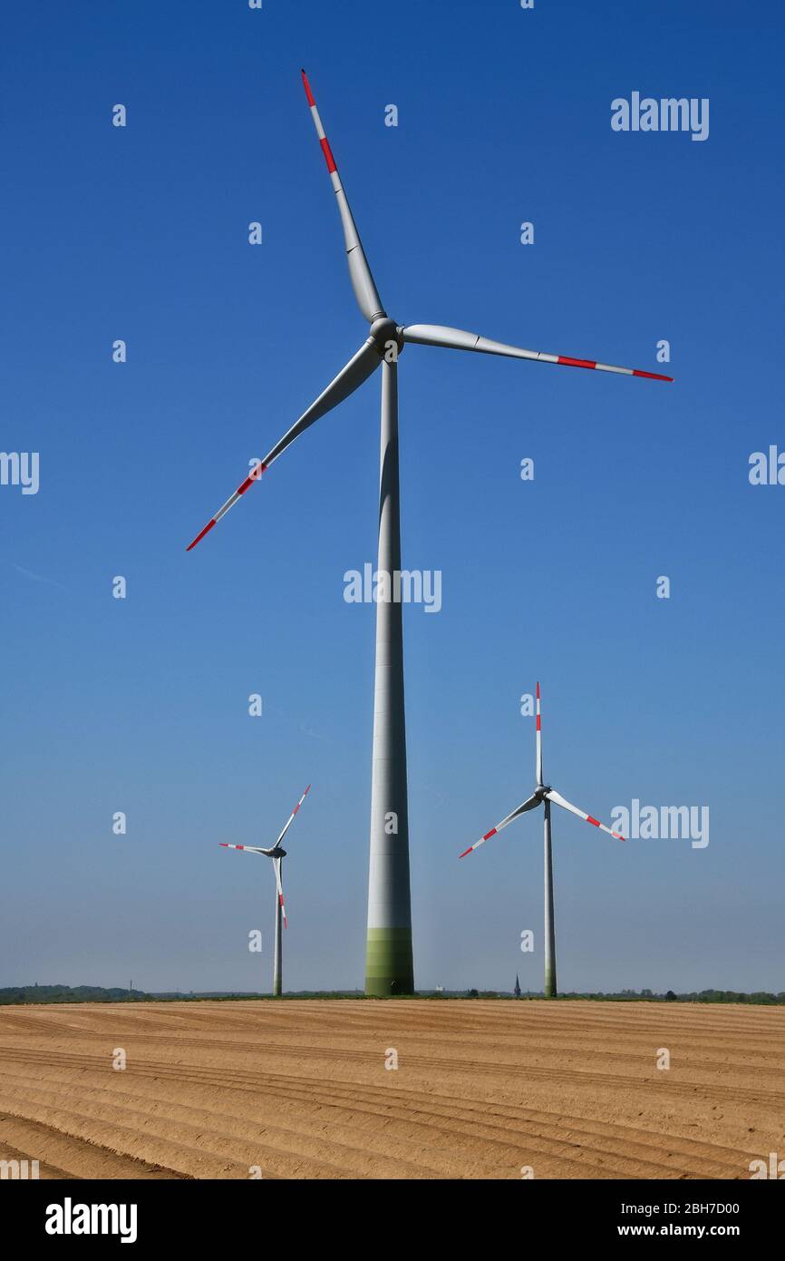 Wind turbines behind an asparagus field in Grevenbroich, Northrhine-Westfalia, Germany Stock Photo