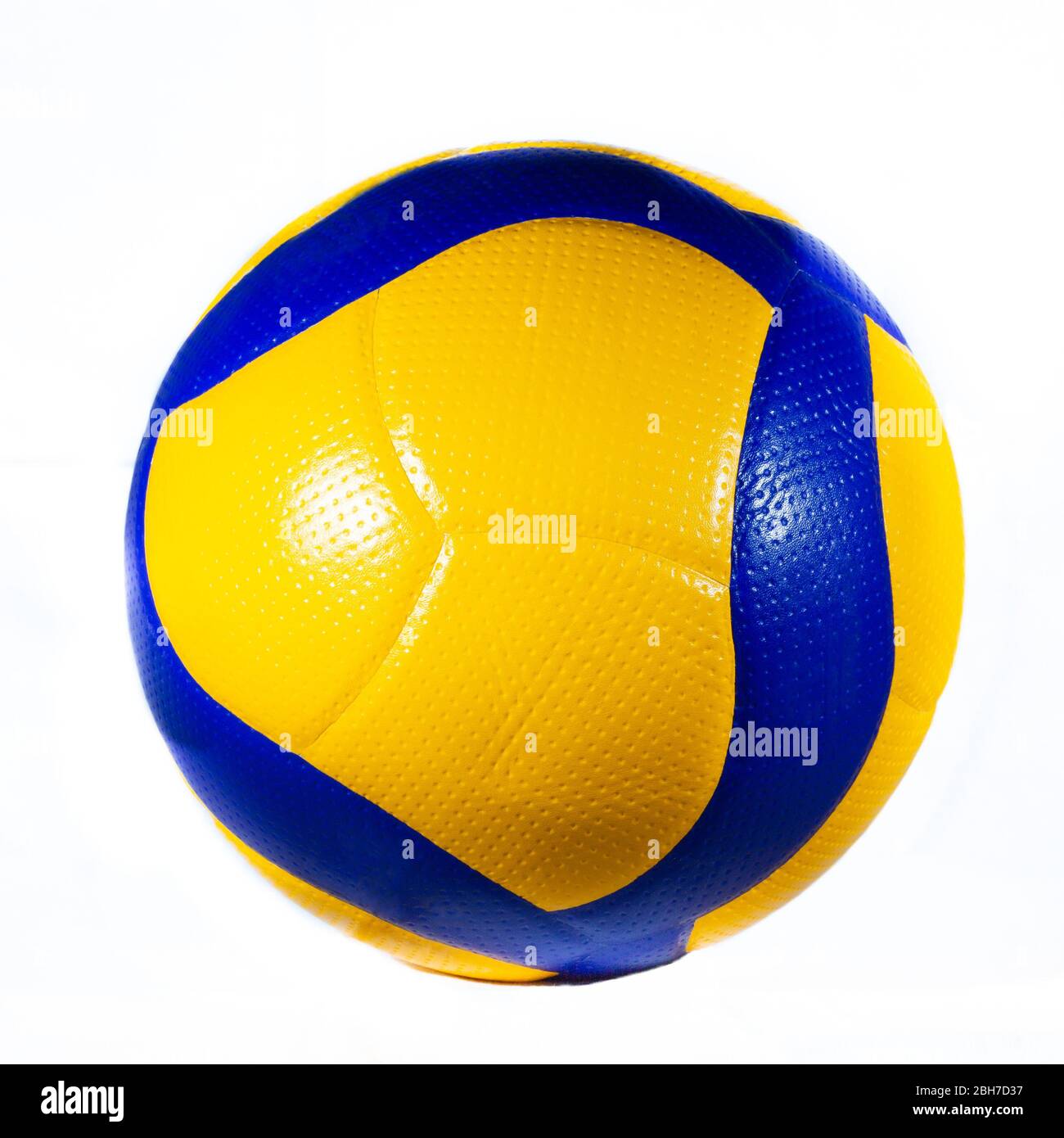 volleyball professional ball
