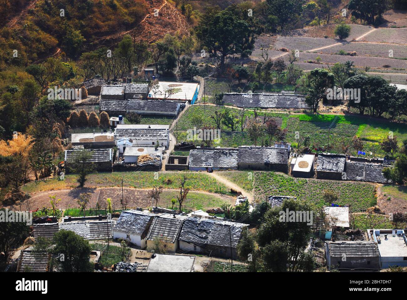 Terraced houses elevated view, Uttarakhand, India Stock Photo Alamy