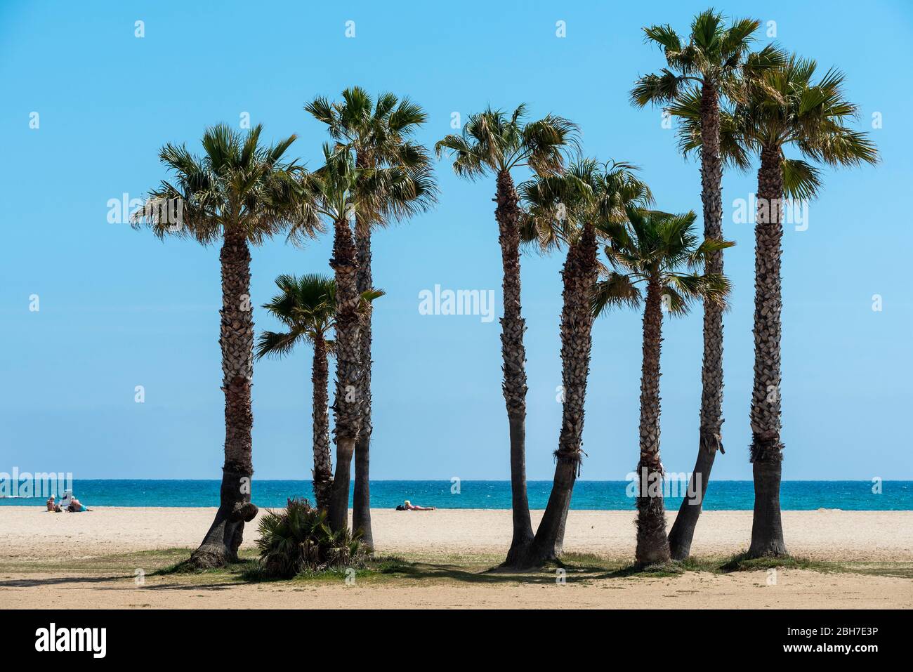 Coma ruga hi-res stock photography and images - Alamy