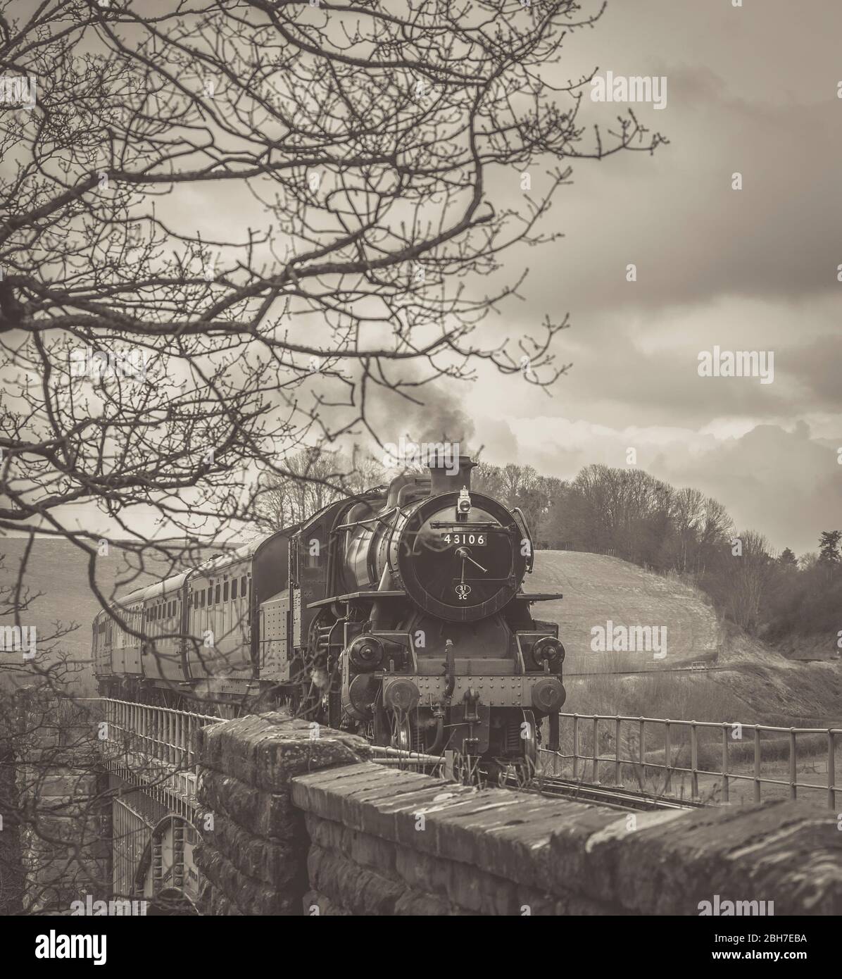 Monochrome front view of vintage UK steam train, locomotive 43106, approaching in rural Worcestershire countryside, Severn Valley Railway. Stock Photo