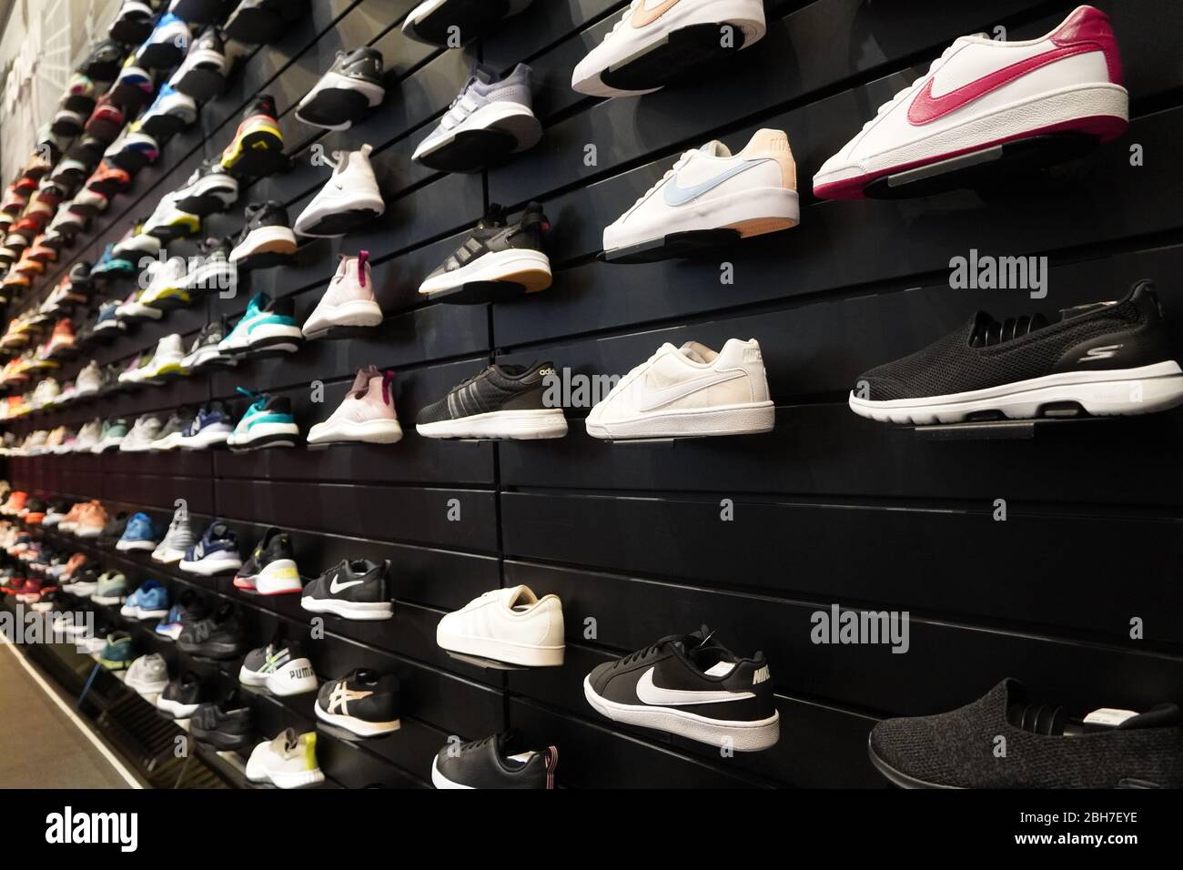 Shop display of a lot of Sports shoes on a wall. A view of a wall of shoes inside the store. Modern new stylish sneakers running shoes for men and wom Stock Photo