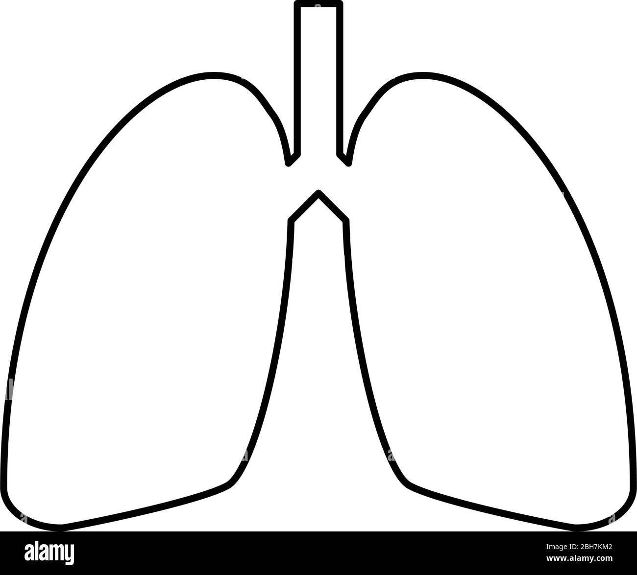 Lung Drawing Anatomy Organ, heart, mammal, food png | PNGEgg