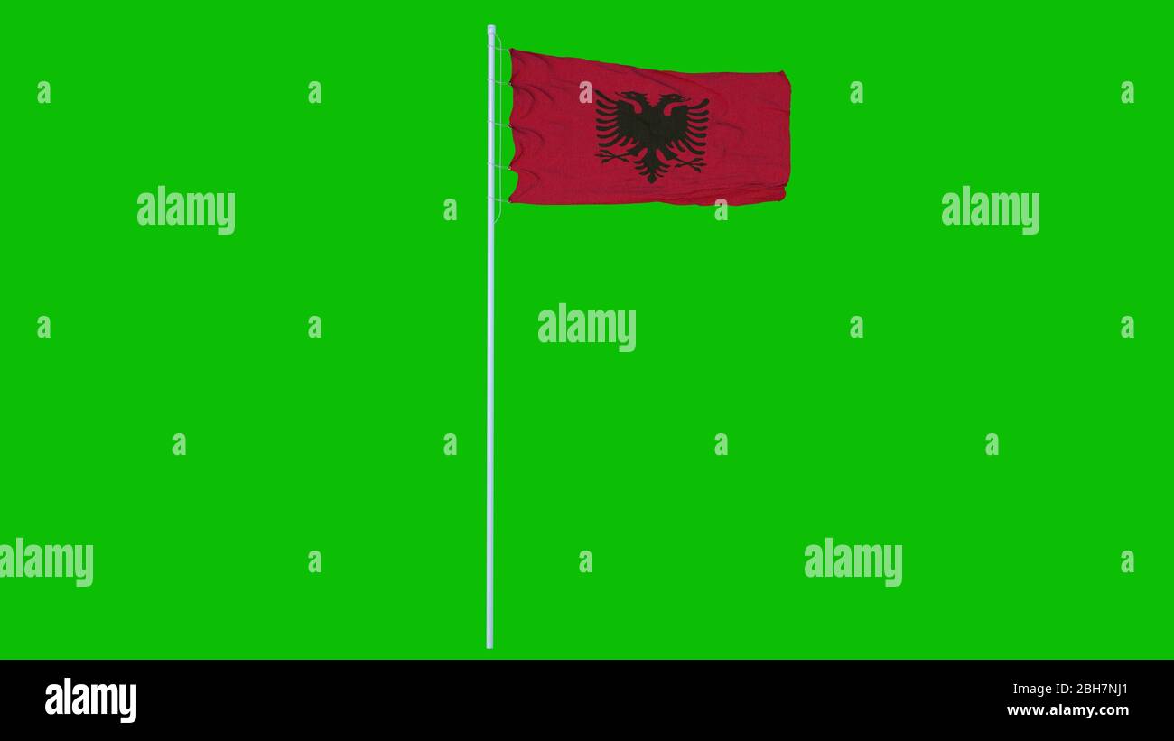 Albania Flag Waving on wind on green screen or chroma key background ...