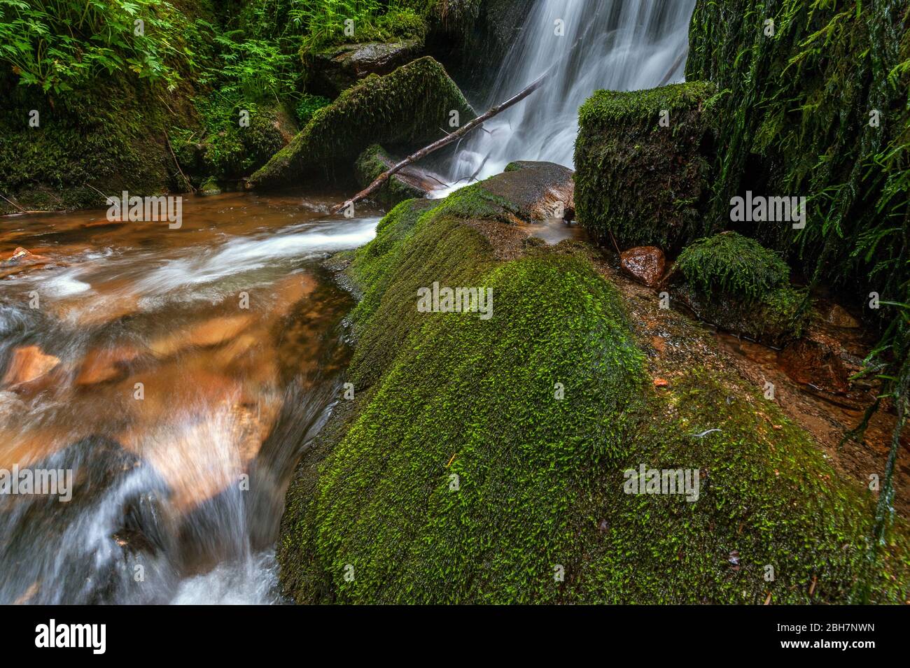 waterfall in the mountains in forest Stock Photo - Alamy