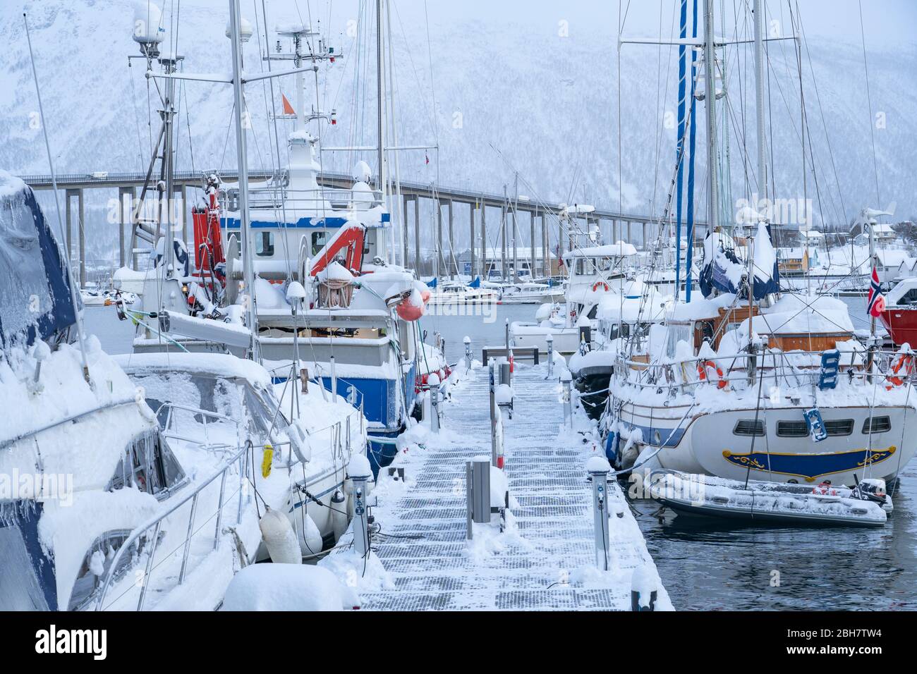 city marina of Tromsoe in northern Norway under deep snow cover Stock Photo Alamy