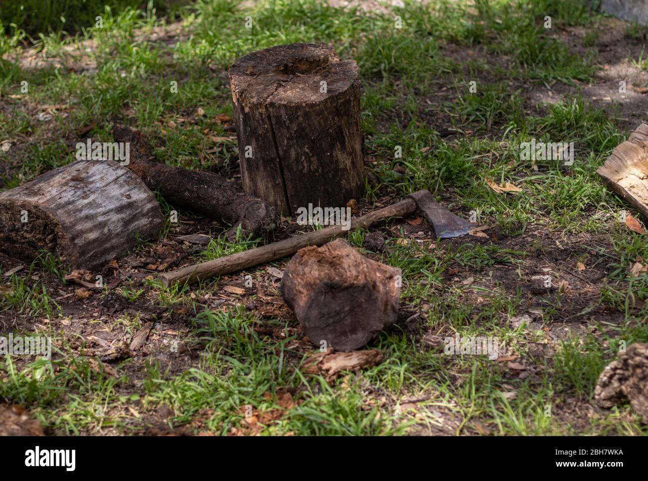 Ax on the grass floor. Lumberjack working tools for cutting wood. Rustic scene. Stock Photo