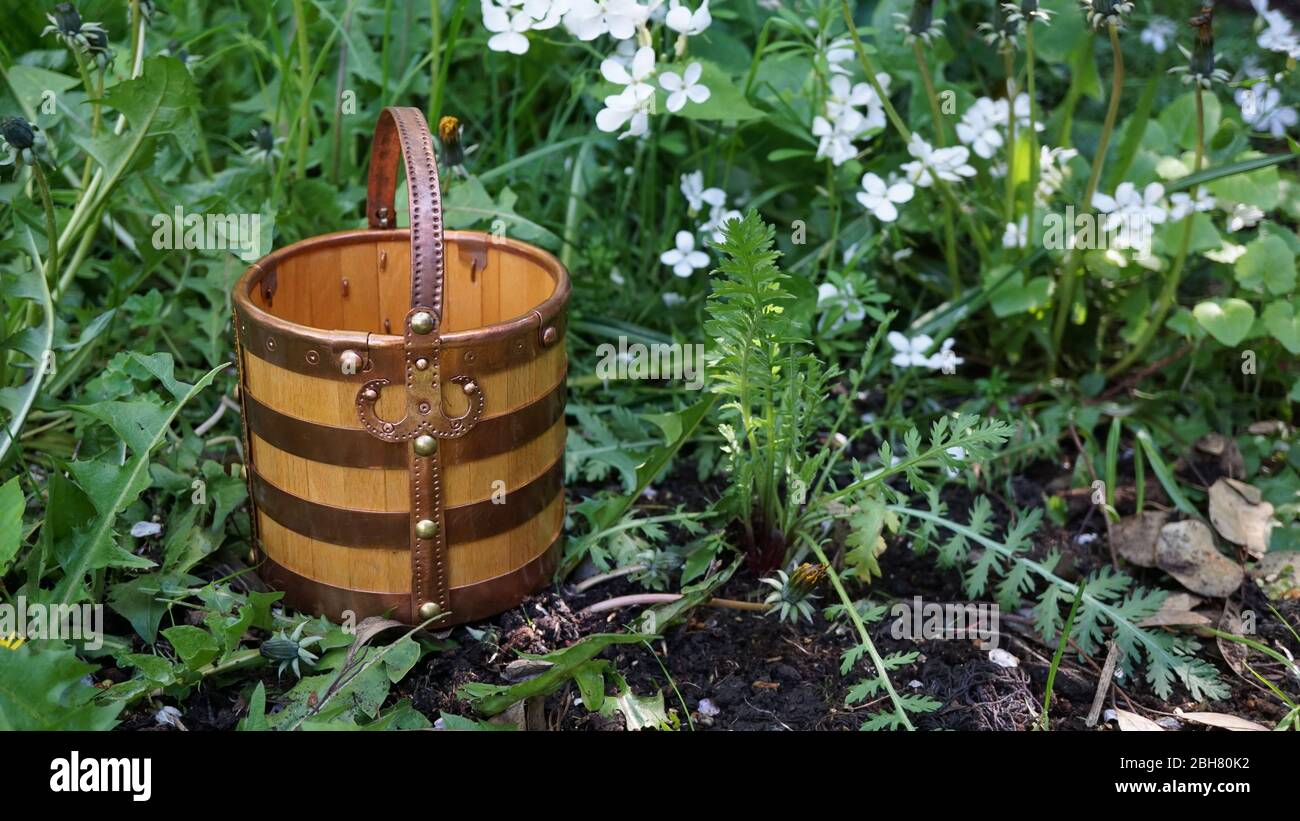 Anglo Saxon mead hall drinking bucket reconstruction of the find from