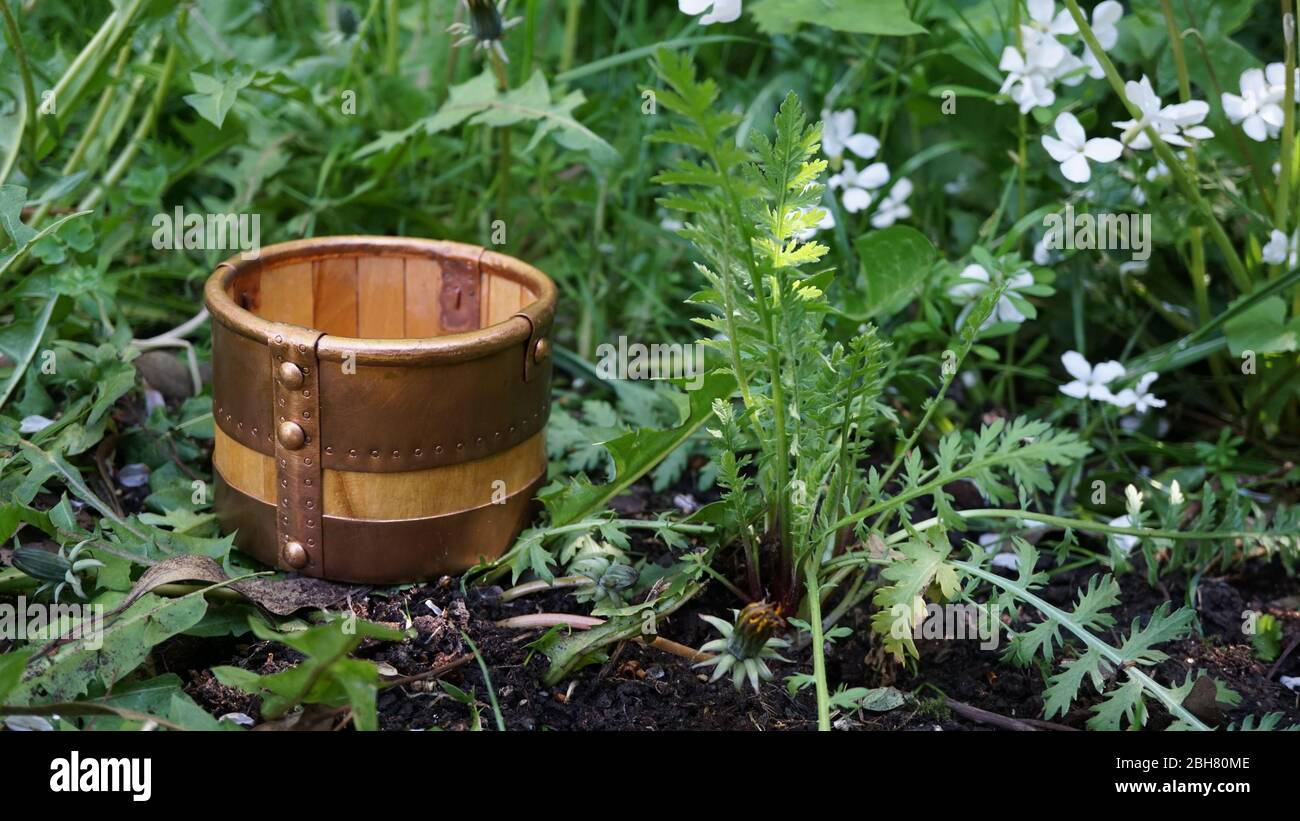 Anglo Saxon mead hall drinking bucket Nassington grave 22