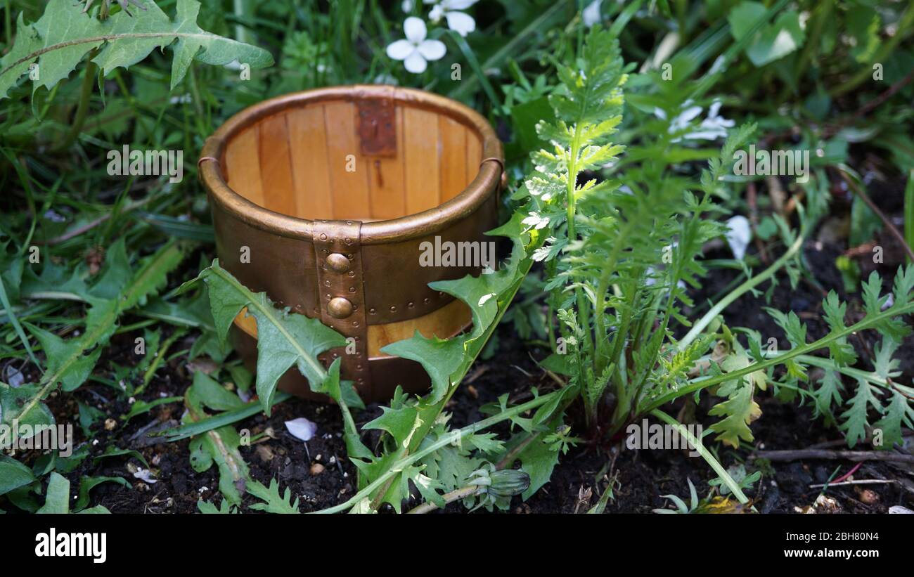 Anglo Saxon mead hall drinking bucket Nassington grave 22