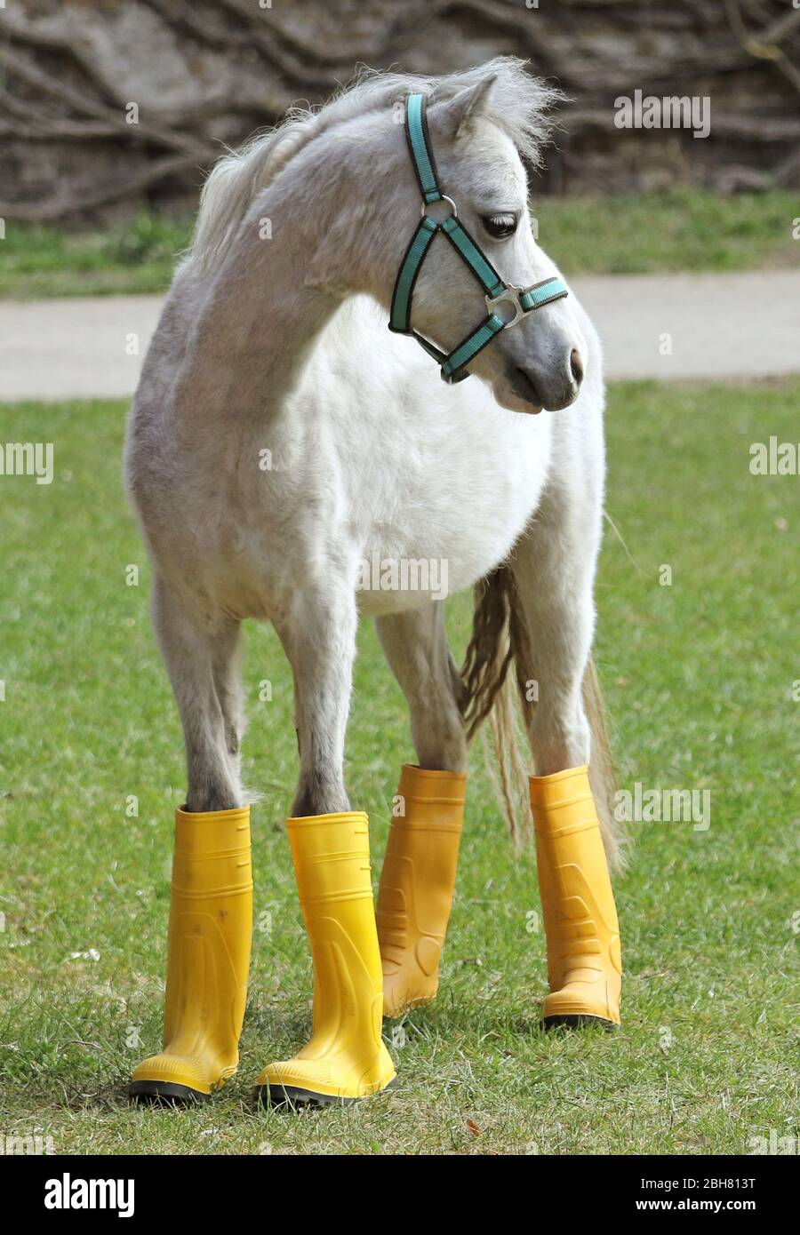 Rubber boots with horses on them deals
