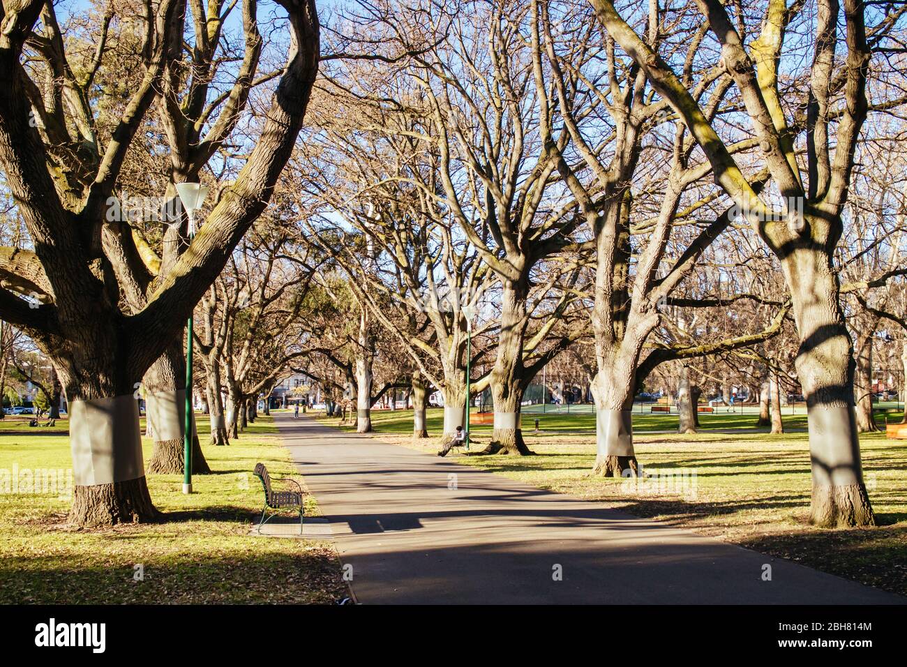 Carlton Gardens in Melbourne Australia Stock Photo