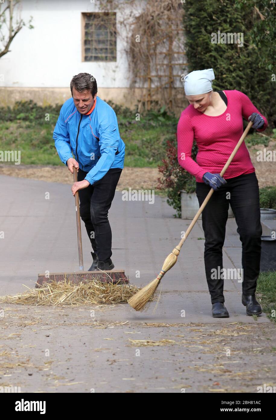 Stable Germany Stable release hi-res stock photography and images - Alamy