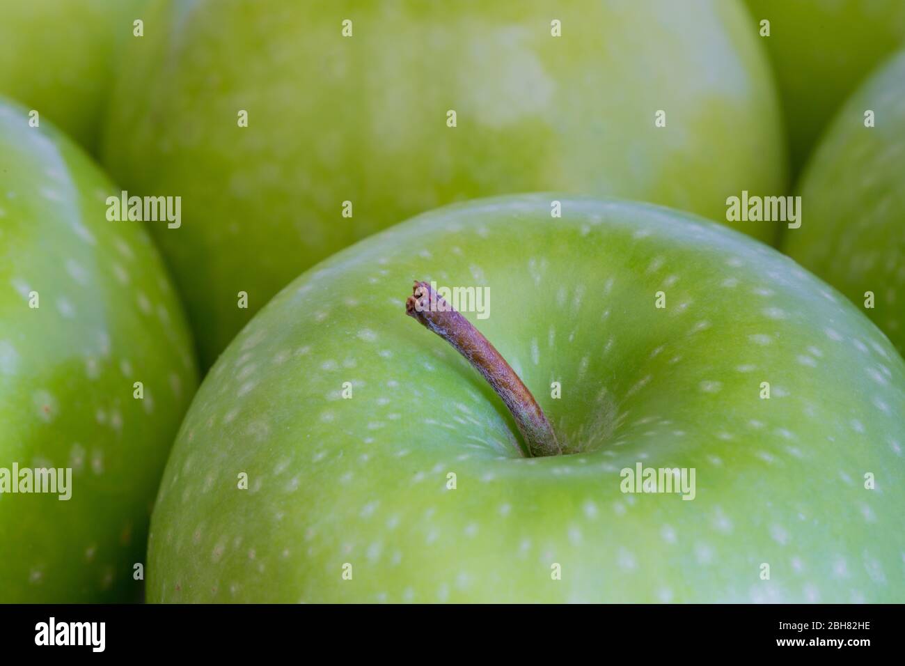 A close up showing the detail of fresh and organic, green, waxed apples