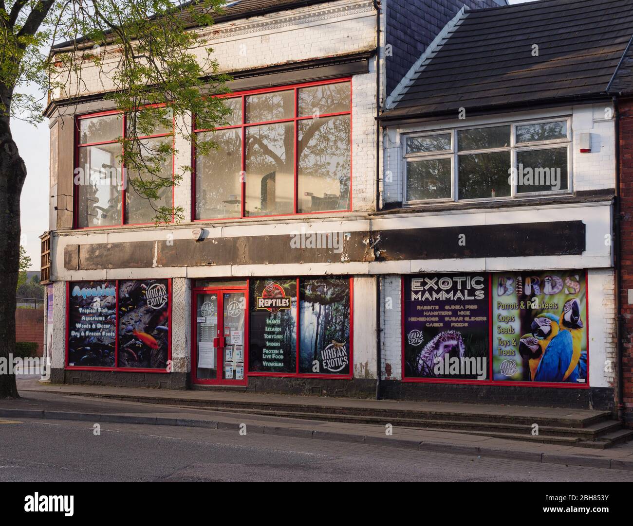 KIRKBY IN ASHFIELD, ENGLAND - APRIL 24: Exotic animals/pet shop, early in the morning, UK. In Kirkby In Ashfield, Nottinghamshire, England. On 24th Ap Stock Photo