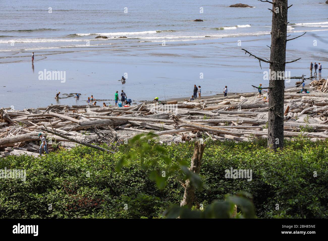 Timber liters Ruby Beach at Forks, Olympic National Park, Washington