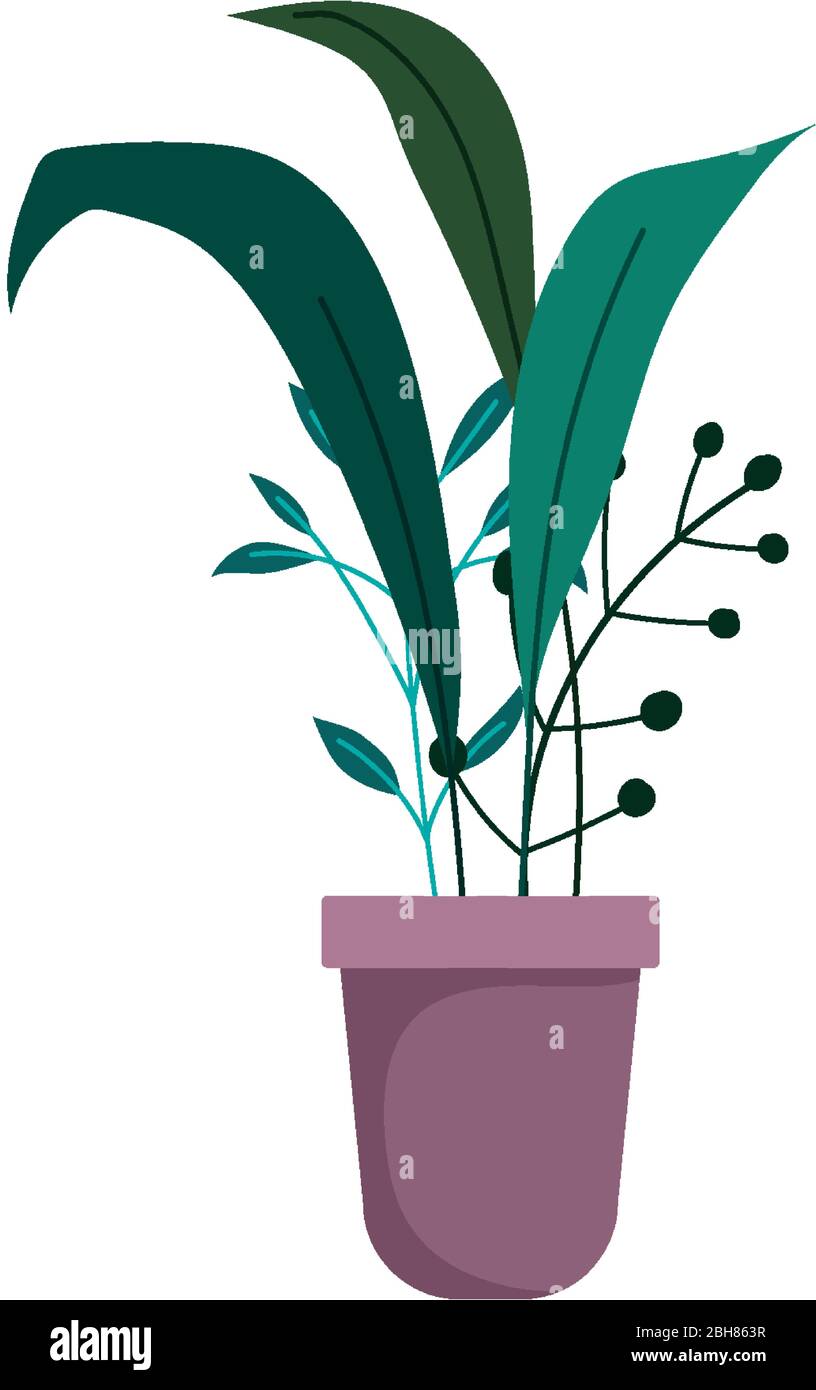 potted plant decoration isolated icon on white background vector ...