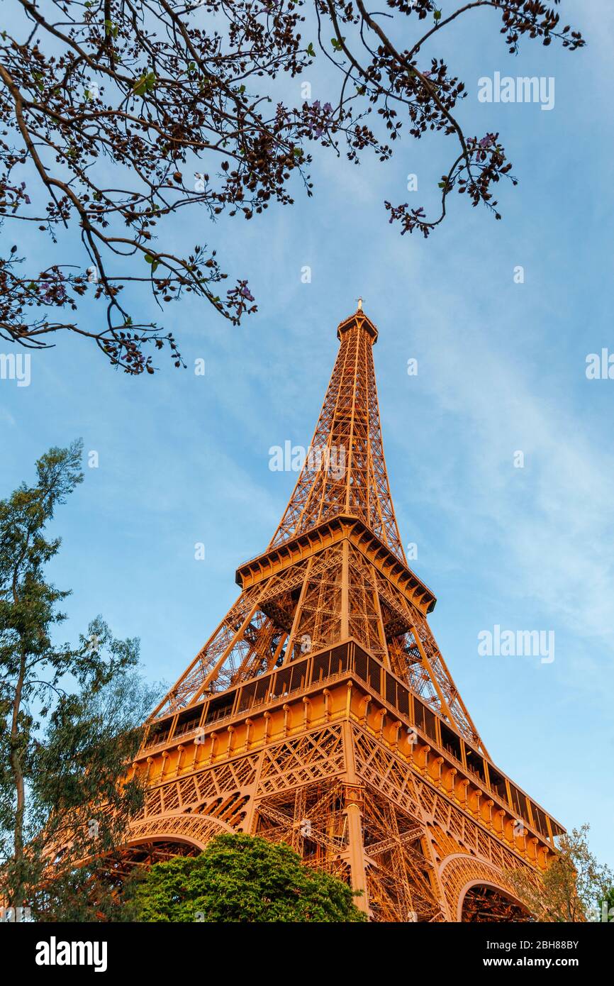The Eiffel Tower from the Champ de Mars in Paris Stock Photo
