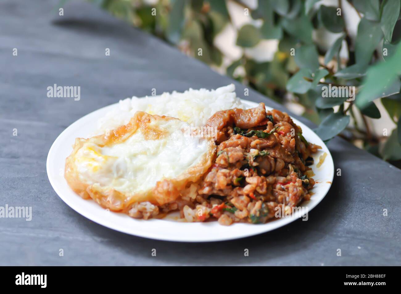 stir fried pork with chili paste, fried egg with rice dish Stock Photo