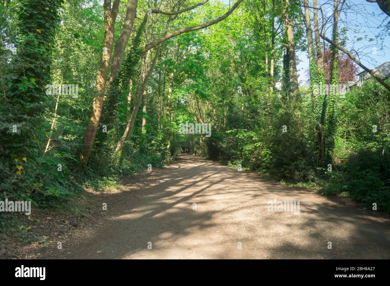 View of North London (Haringey) Nature trail (Parkland Walk) evolved over an old disused railway line. Seen April 2020. Stock Photo