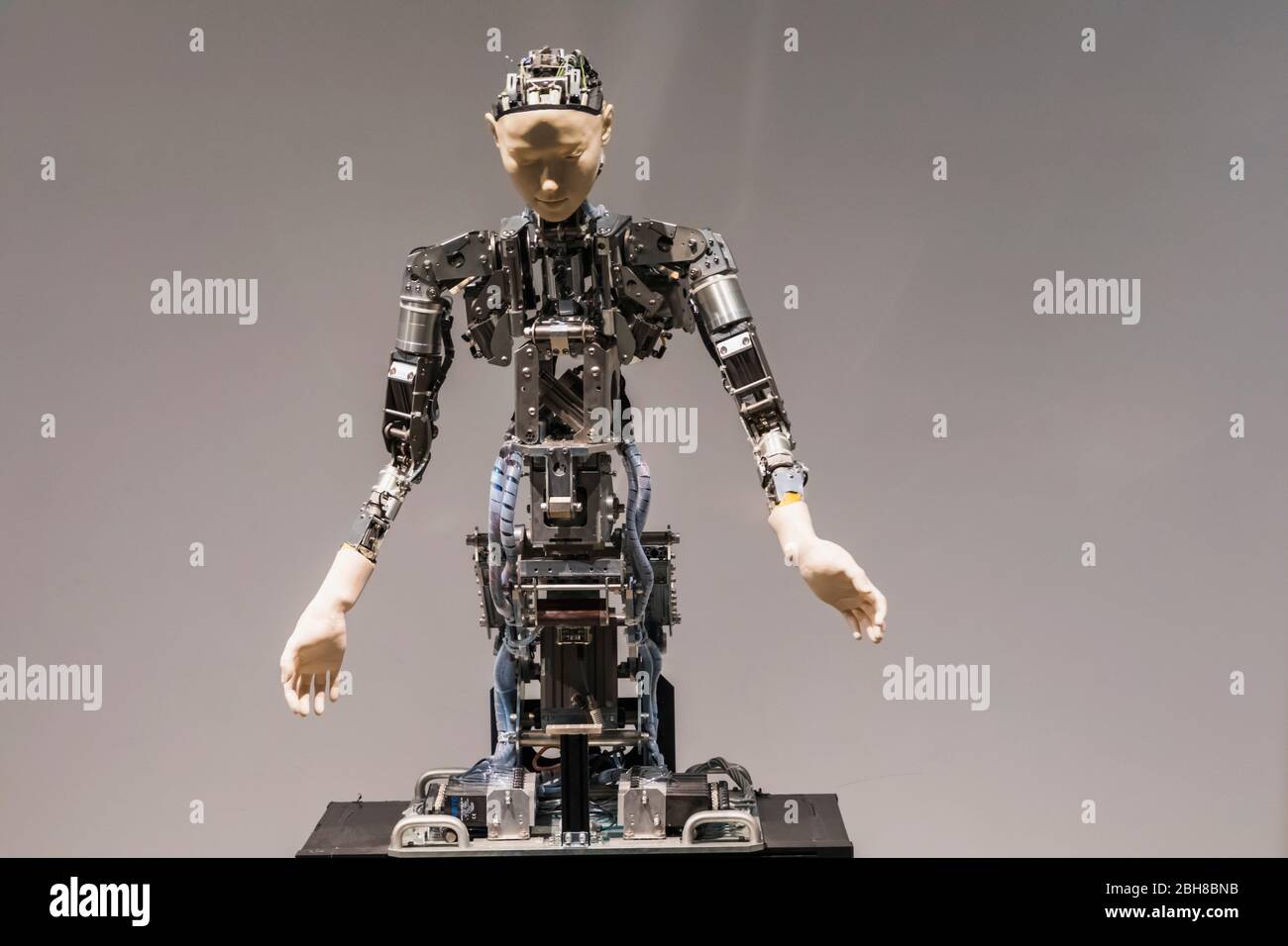 Japan, Honshu, Tokyo, Odaiba, Miraikan, The National Museum of Emerging  Science and Innovation, Otonaroid (Adult Android) Robot Stock Photo - Alamy