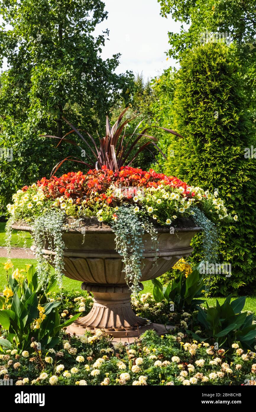 England, London, The Regent's Park, Flowers in Bloom Stock Photo