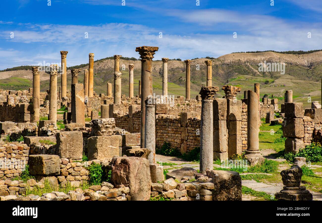 Argelia, Djemila City, Roman ruins of Djemila City, UNESCO, W.H. , upper City Stock Photo