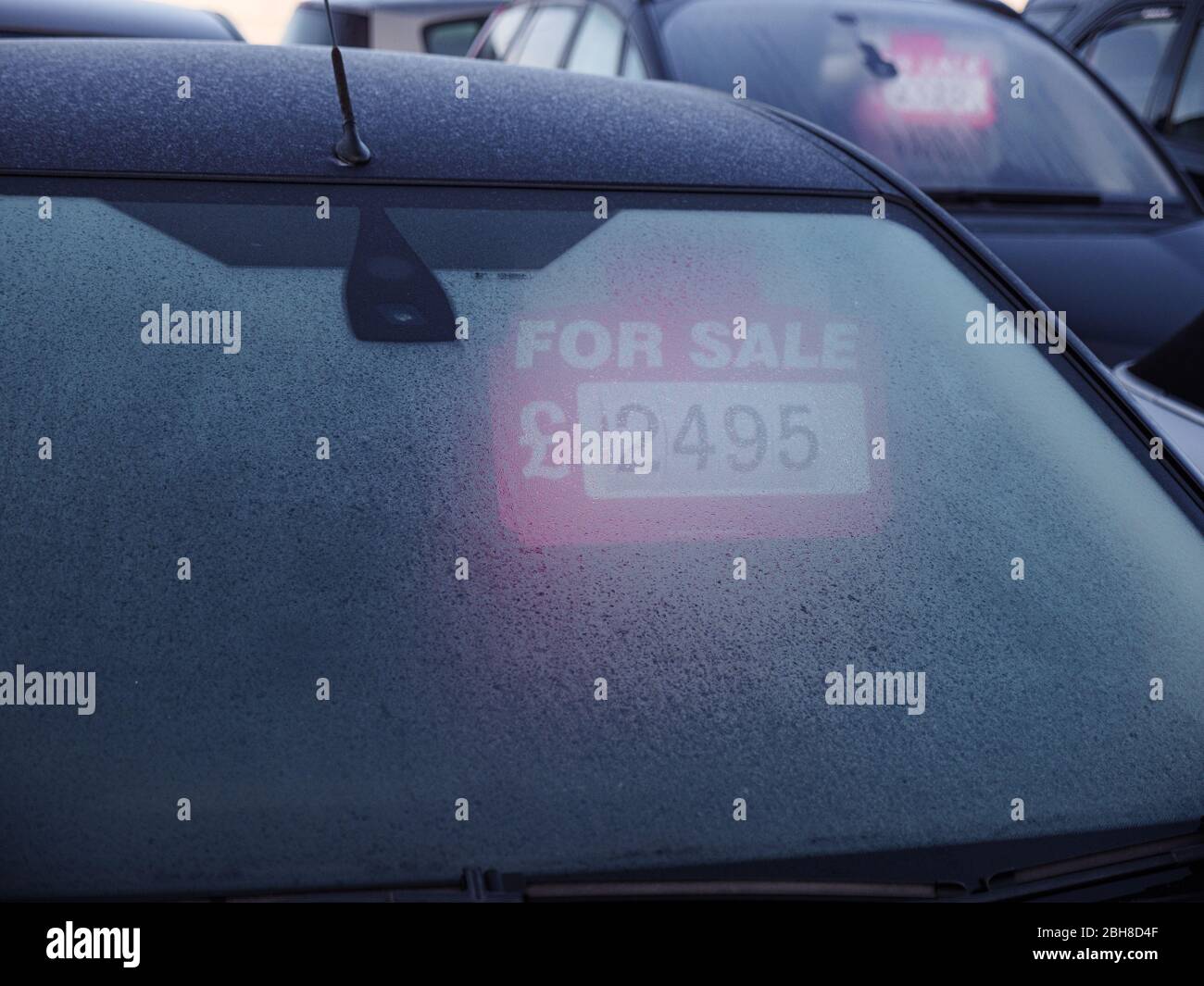 For Sale sign inside car on used car lot, frosty morning. In Kirkby In Ashfield, Nottinghamshire, England. Stock Photo