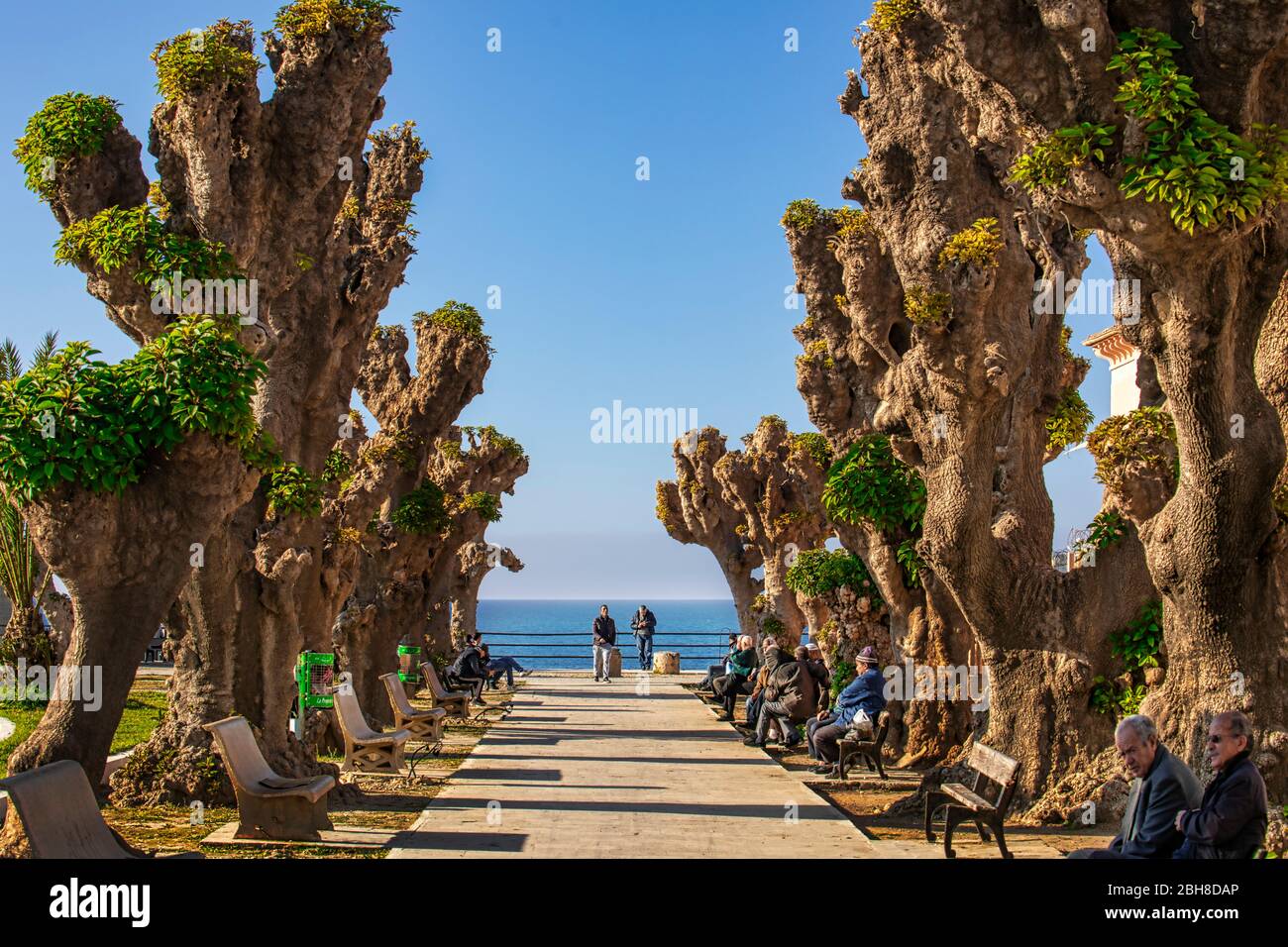 Argelia, Cherchell City, (ancient Caesarea), La Placette Square Stock Photo