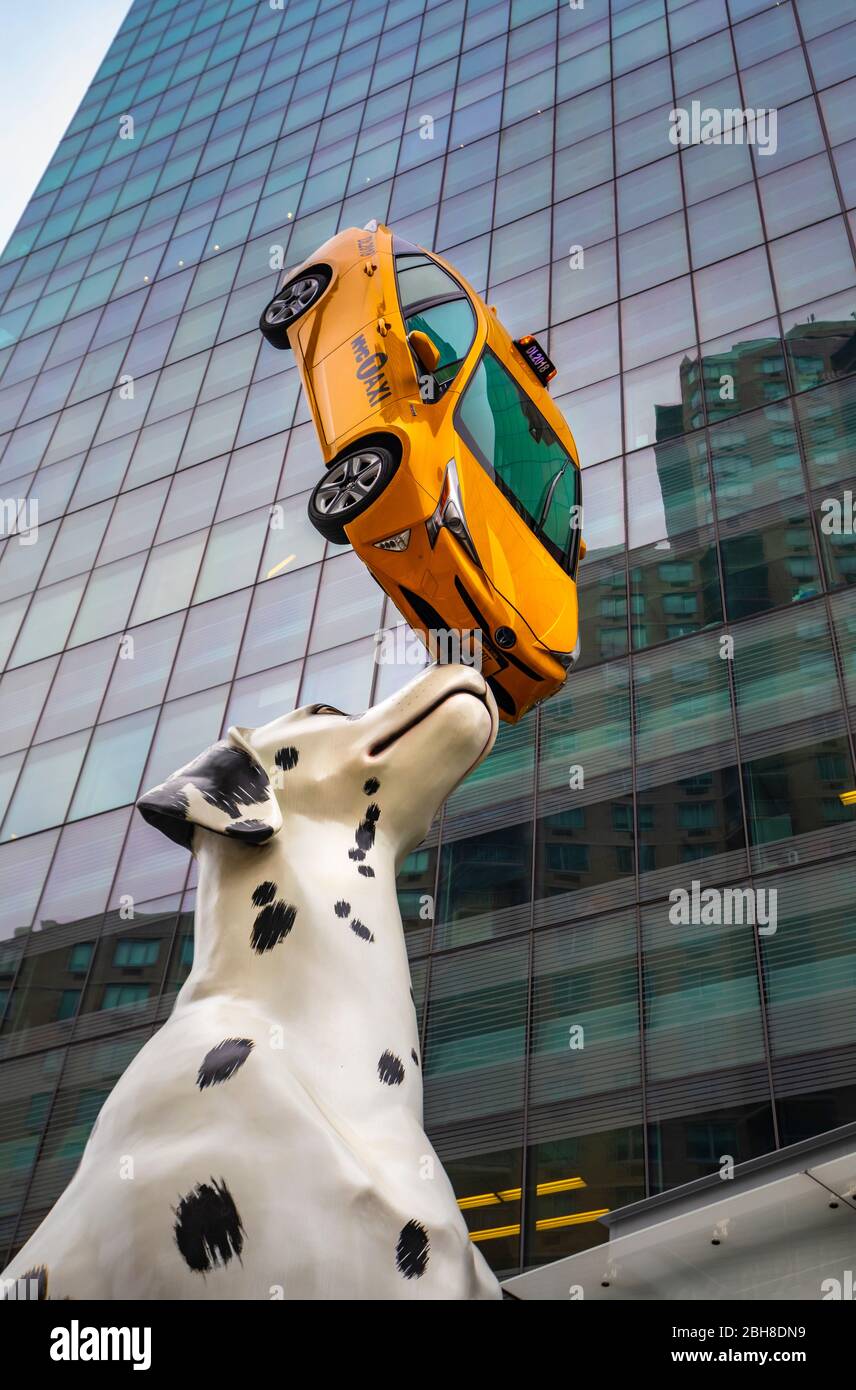 Are Dogs Allowed In Taxis Nyc