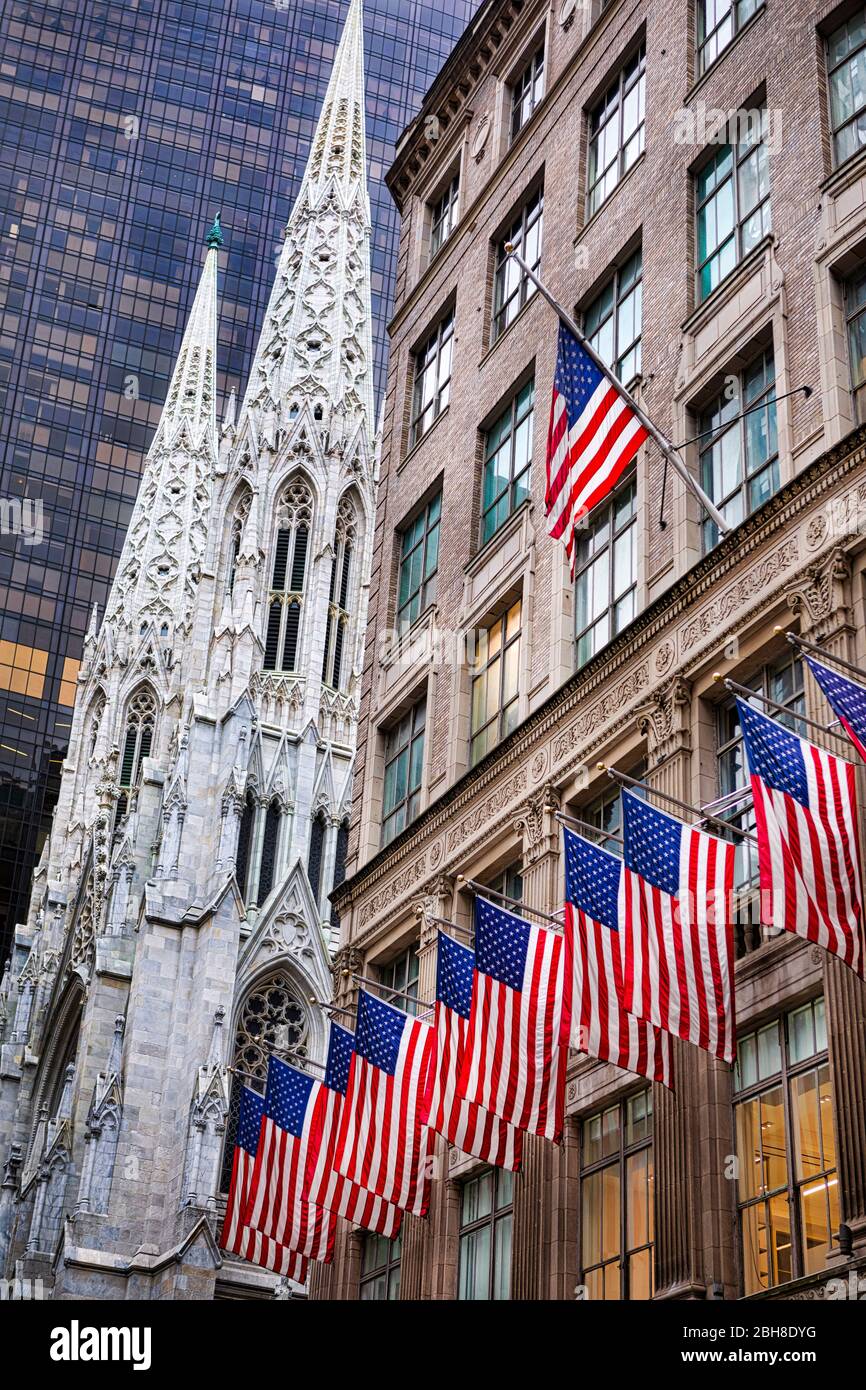 USA, New York City, Manhattan, 5th. Avenue, Saint Patrick's Cathedral Stock Photo
