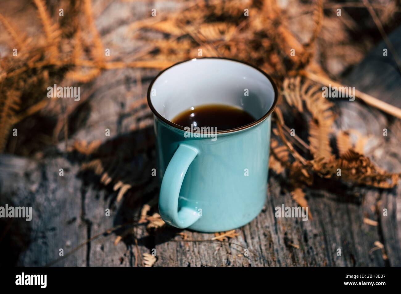 Close up of mug with coffee in outdoor adventure background place with wood and autumn leaf around. Cold and wanderlust explore world concept. Alternative vacation travel Stock Photo