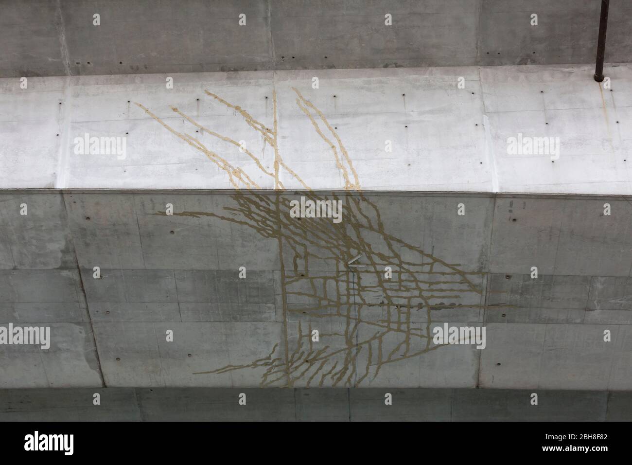 Growing cracks in the main span of the West Seattle Bridge are seen reinforced with epoxy on Thursday, April 23, 2020. The Seattle Department of Transportation ordered an emergency closure of the bridge after cracks in the deck were discovered during a routine inspection. The bridge, which serves as the main arterial road into West Seattle, will remain out of service until at least 2022 because of extensive damage found. Stock Photo
