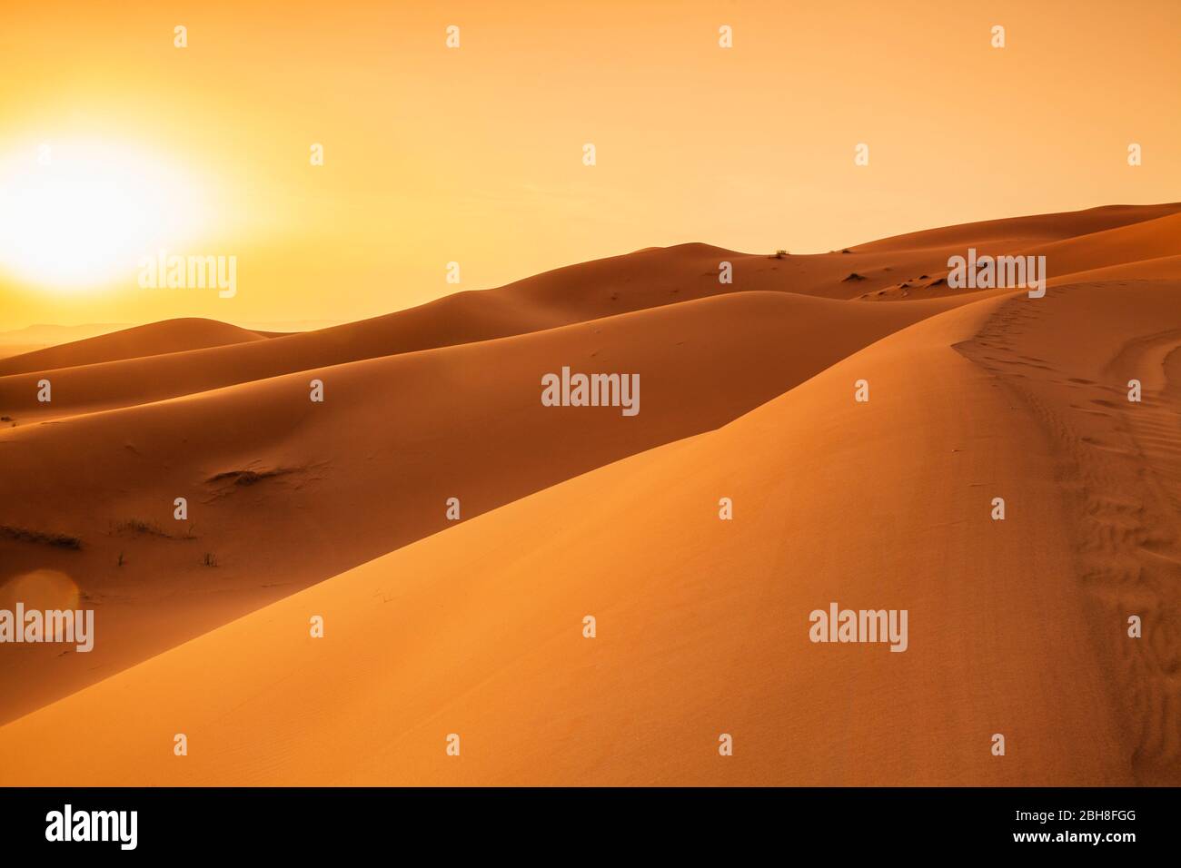 Erg Chebbi at sunset, sand dunes, southern Morocco, Morocco, Al-Maghreb, Africa, Stock Photo