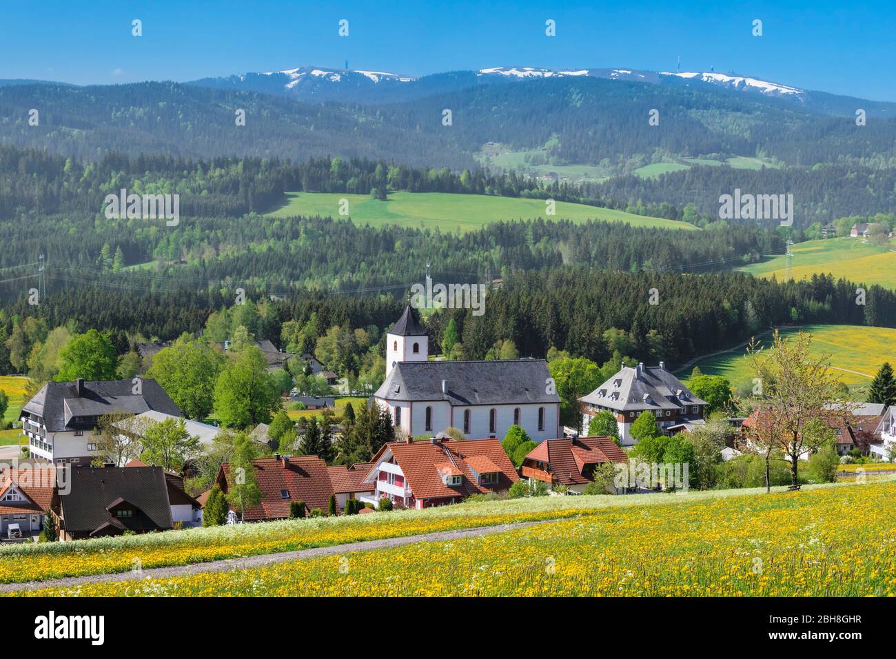 Blick von Breitnau zum Feldberg im Frühling, Schwarzwald, Baden, Württemberg, Deutschland Stock Photo