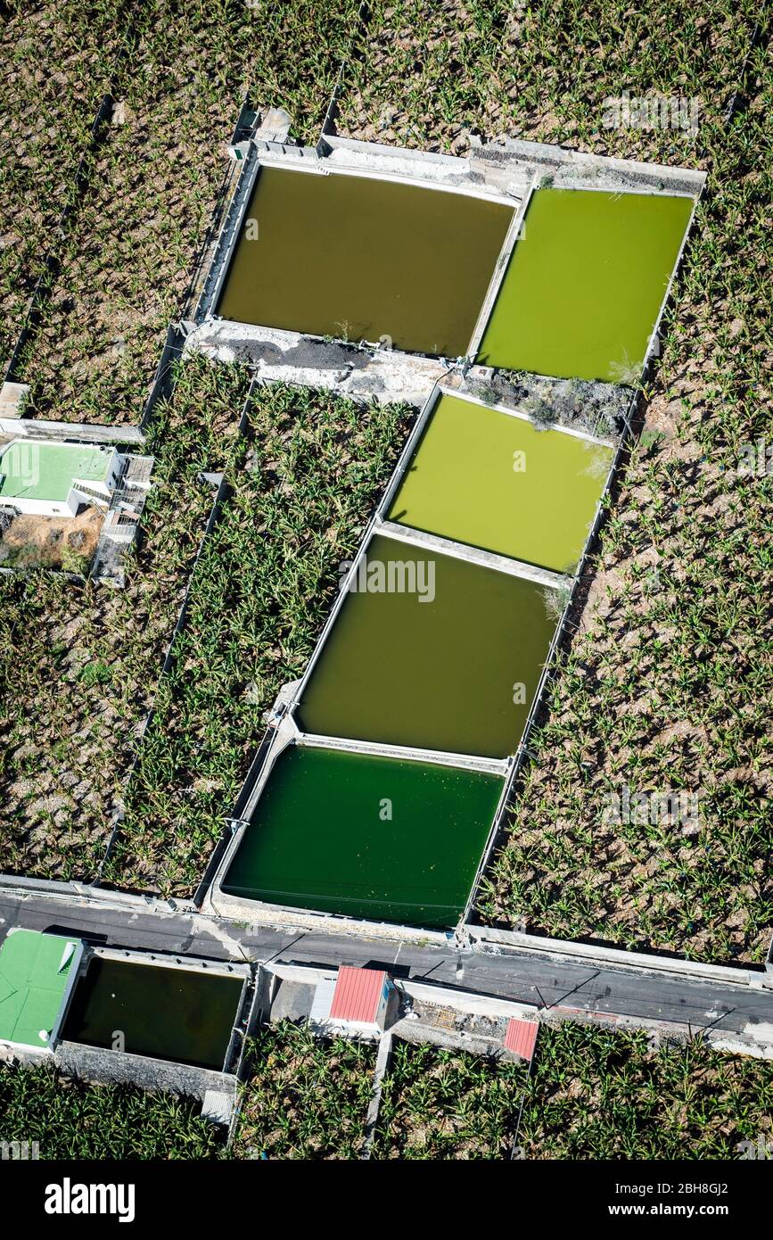 Irrigation basin between banana plantations, aerial view, Puerto Naos, Canary Island La Palma, Spain Stock Photo