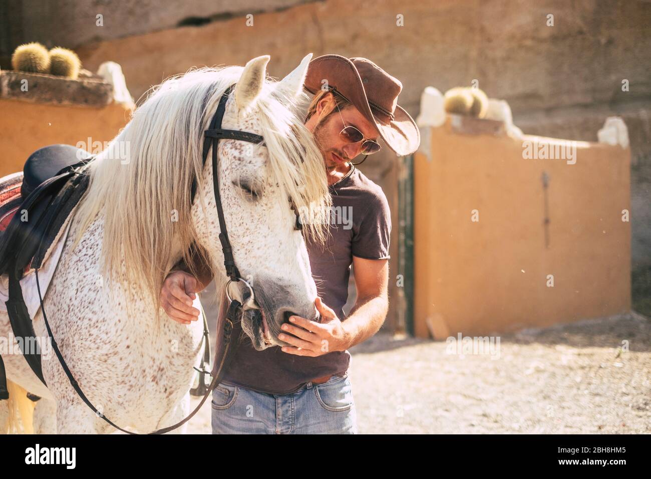 beautiful man like cowboy speak with his best friend horse before ride it  over the mountains.