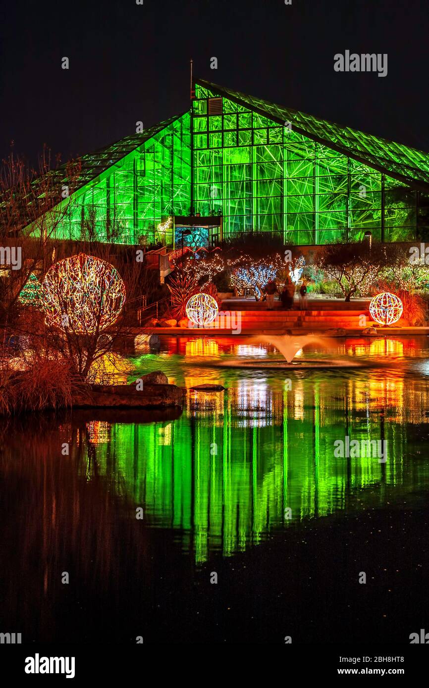Christmas lights and pond reflections, River of Lights, Rio Grande Botanic Garden, Albuquerque, NM Stock Photo