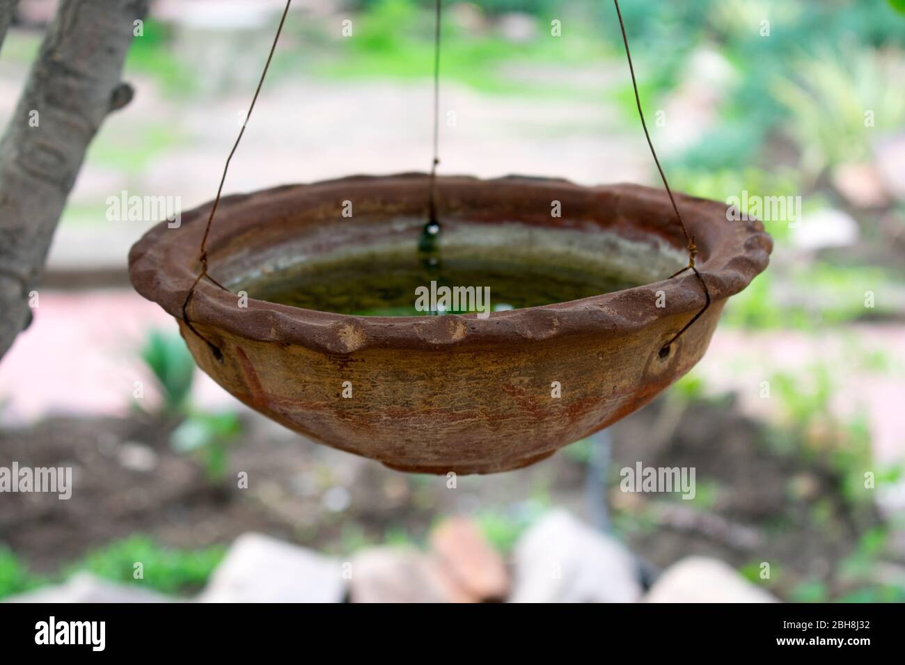 water in clay pot for birds in hot summer Stock Photo - Alamy