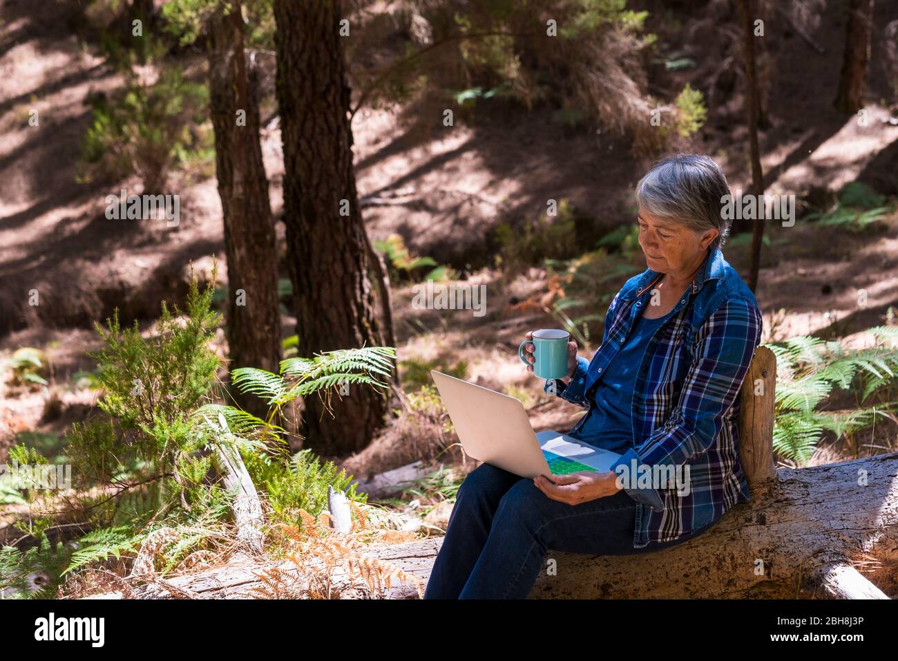 Portrait of aged adult caucasian woman working at laptop computer sitting on a tree in the outdoor wild forest - technology everywhere for people in leisure activity Stock Photo