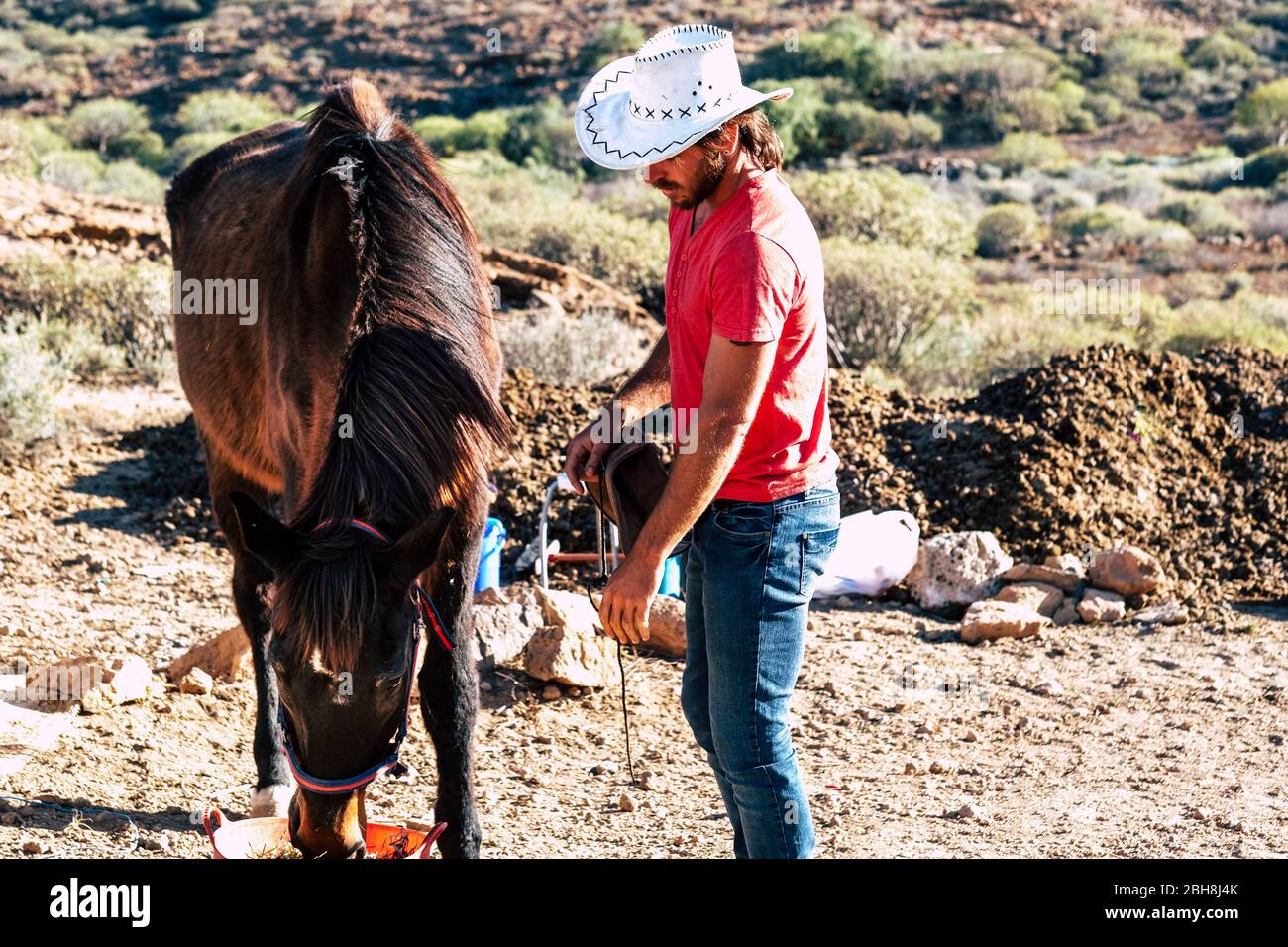 Cowboy farmen young man feed the horse and love the animals - country side work away concept for alternative lifestyle people - rider have care of his own horse Stock Photo