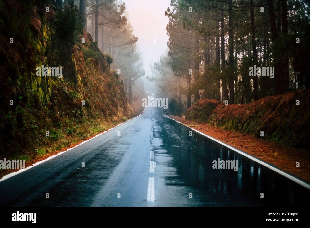 Long way road in the mountain with forest trees wood around and fog or clouds at the end like fog bad weather - rain on the asphalt and dirty ground - winter autumn climate - travel and destination Stock Photo