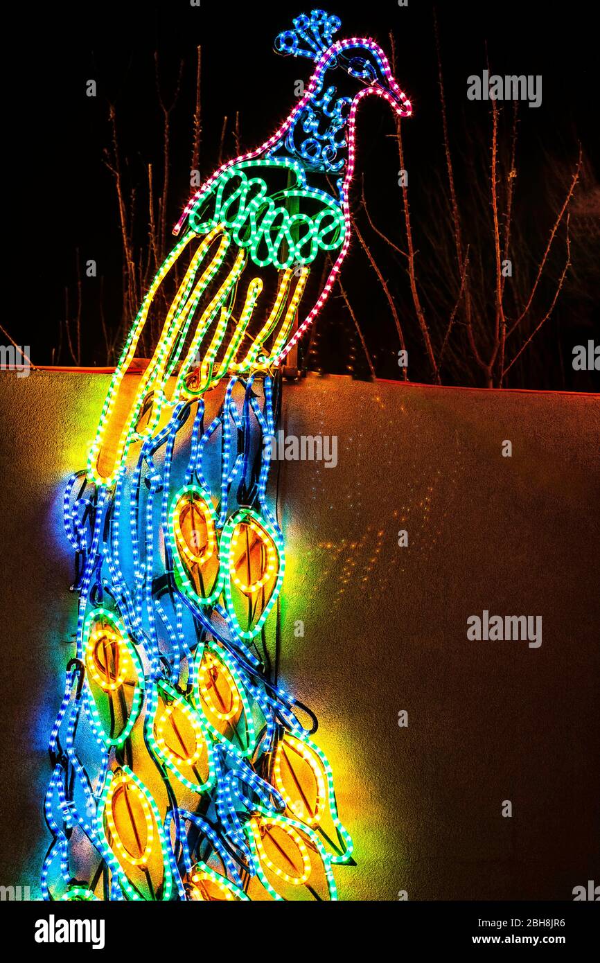 ''Peacock' Christmas lights, River of Lights, Rio Grande Botanic Garden, Albuquerque, New Mexico USA Stock Photo