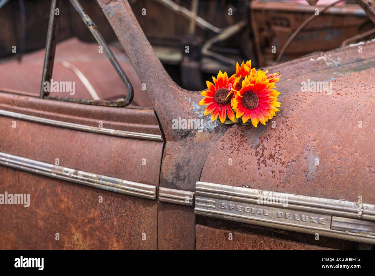 USA, Maine, Wells, antique car detail Stock Photo Alamy
