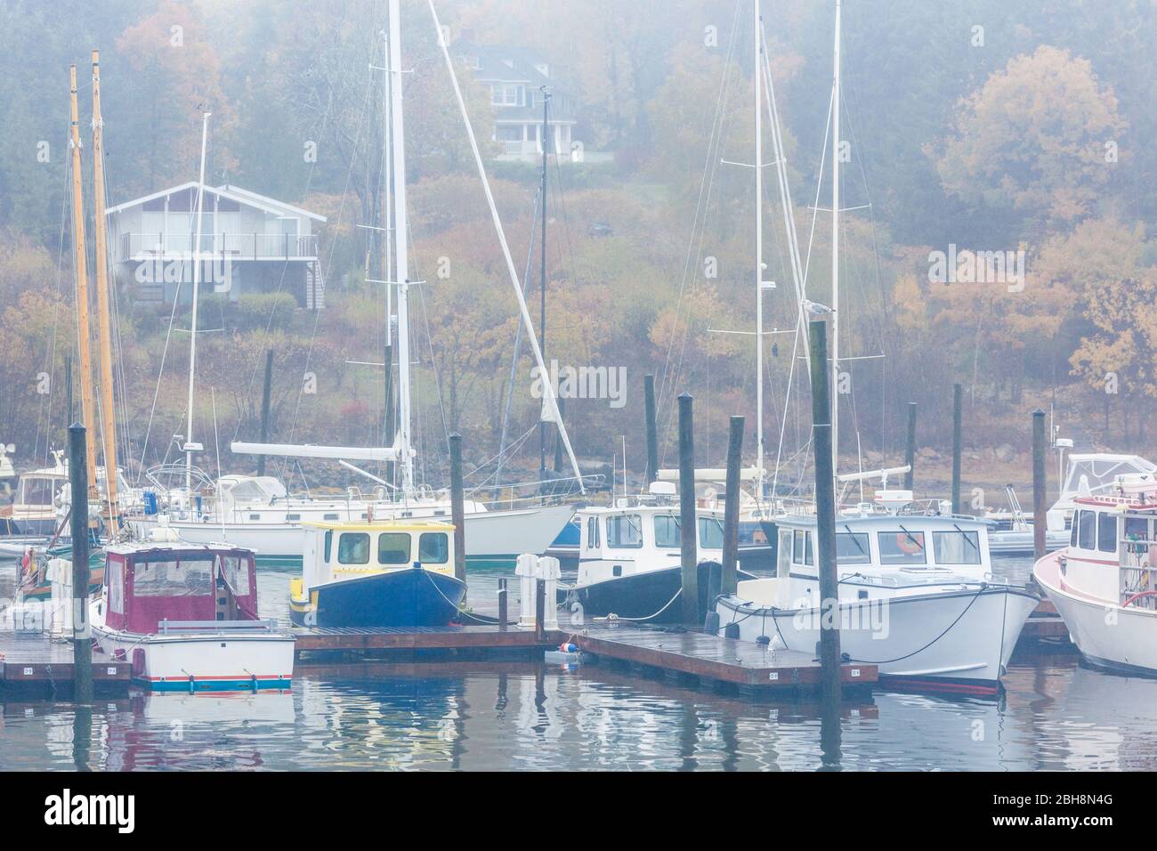 USA, Maine, Mt. Desert Island, Northeast Harbor, fishing boats in the