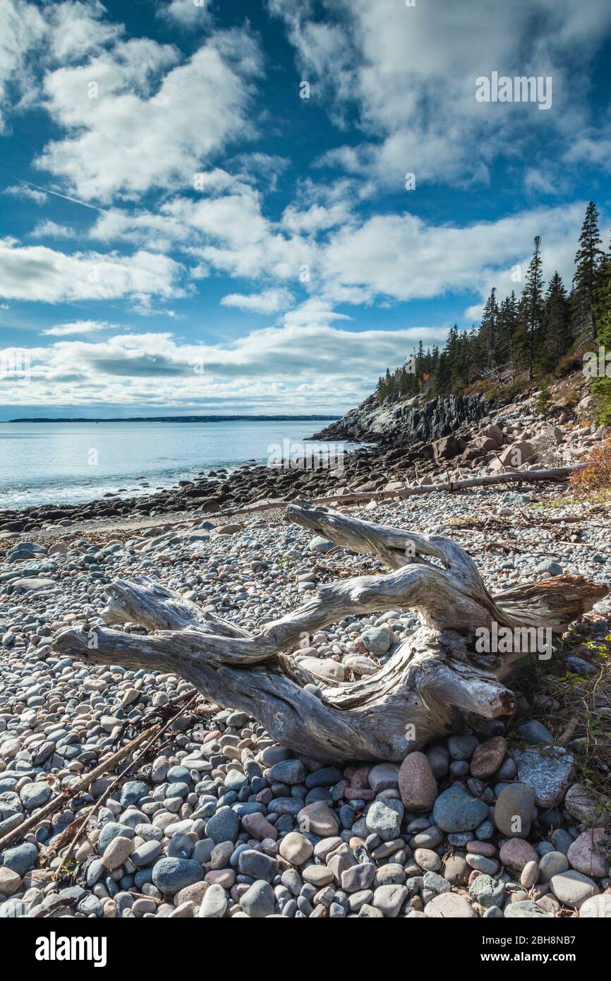 Cooksey hires stock photography and images Alamy