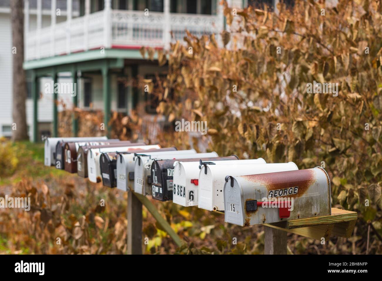 USA, Maine, Bayside, Bayview Cottages, oceanside community of cottages